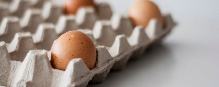 Tutto quello che devi sapere sulle proprietà acustiche dei cartoni per uova
