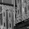 L'urlo<br/>Torino - 2009
